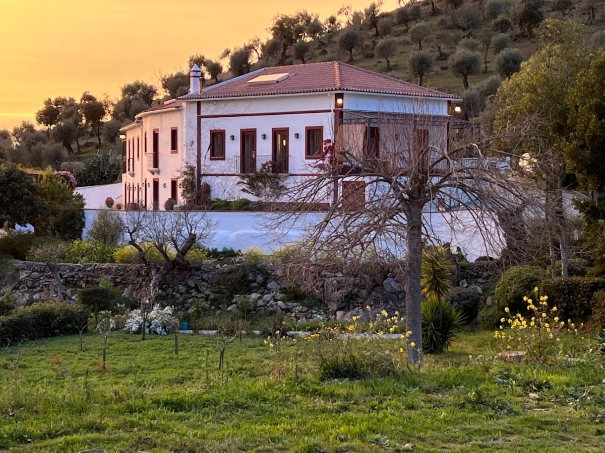 Ferienwohnung Quinta Da Asneira Montemor-o-Novo Exterior foto