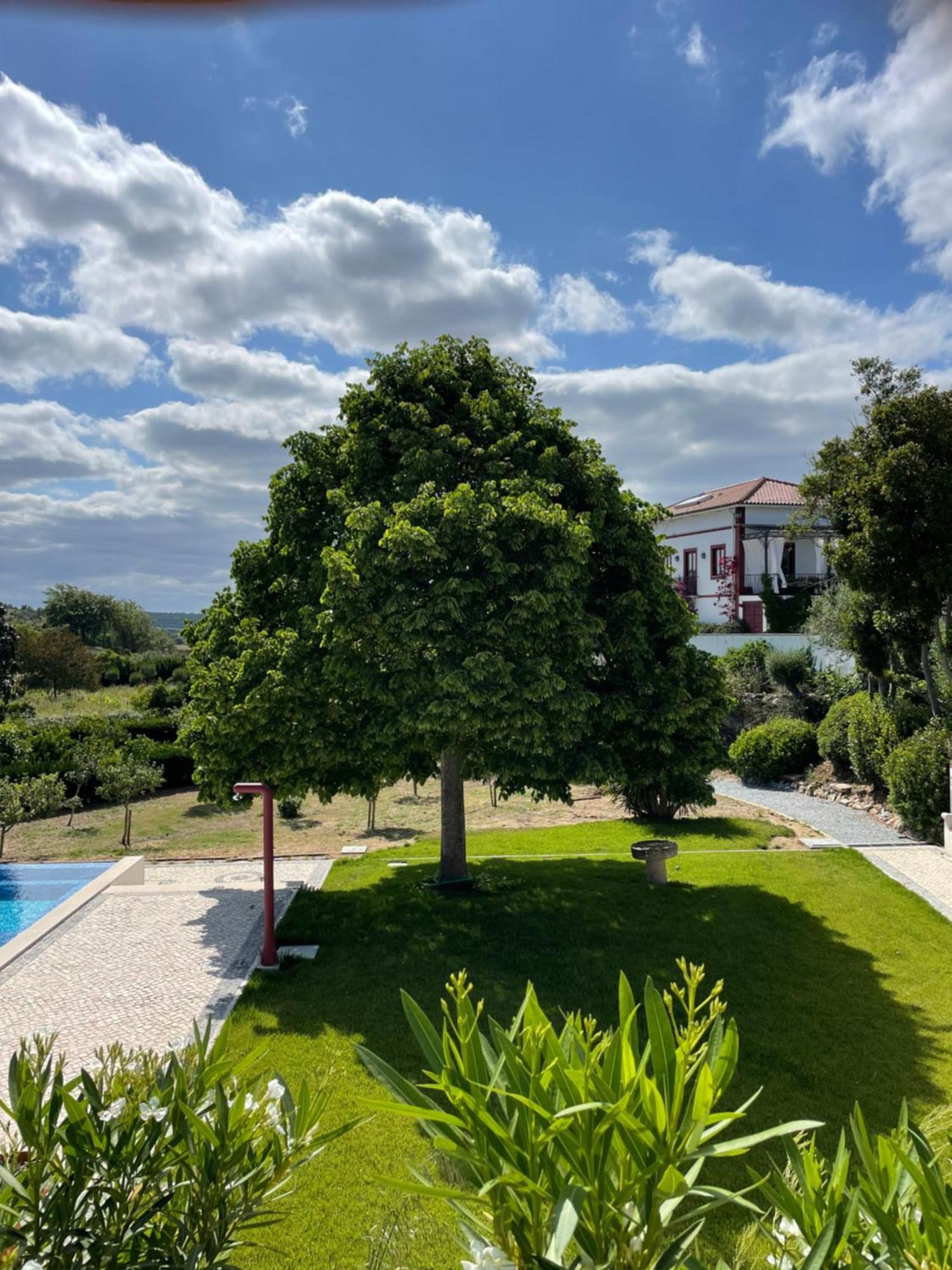 Ferienwohnung Quinta Da Asneira Montemor-o-Novo Exterior foto